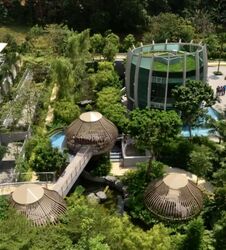 Tree House (D23), Condominium #562081111